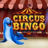Circus Bingo на Champion